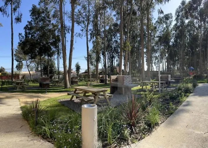 Arriendo Departamento Nuevo, Algarrobo Norte